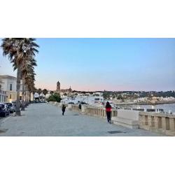 30 luglio-13 agosto,6/8p.l.in spiaggia a piedi