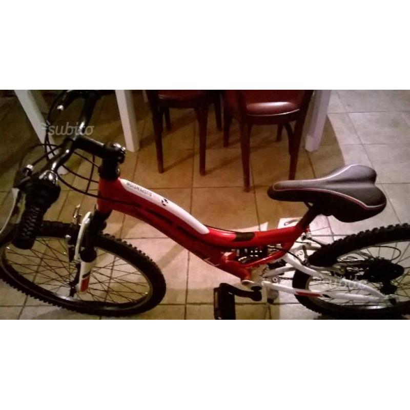 Bicicletta