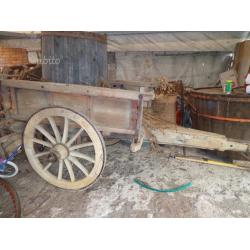 Carro buoi