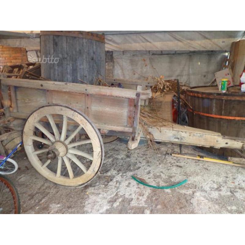 Carro buoi