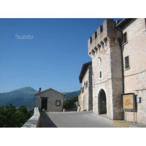 Nel Parco di M.Cucco tra Gubbio e Assisi
