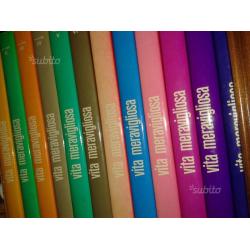 Enciclopedie Rizzoli, Editoriale, Mondadori