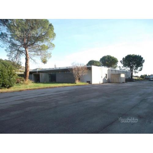 Rif. 1515-1-1 Commerciale 5 vani (AP)