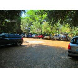 Casa su Spiaggia - Mare Jonio a 50 m. Mirto-Crosia