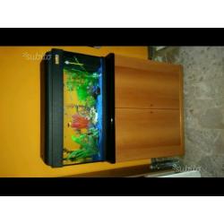 Acquario dolce completo