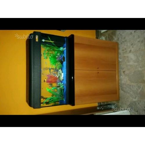 Acquario dolce completo