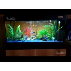 Acquario dolce completo
