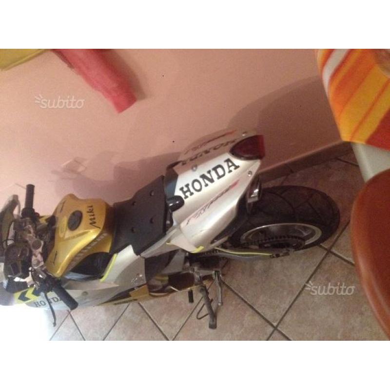Maximoto la più alta con marcie