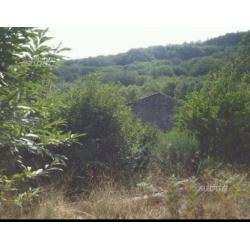 Castagneto pedara