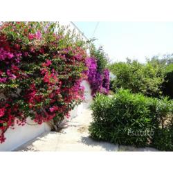 Villa unifamiliare in Marina di Ostuni BR - Montic