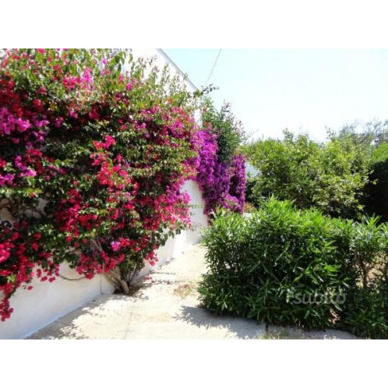 Villa unifamiliare in Marina di Ostuni BR - Montic