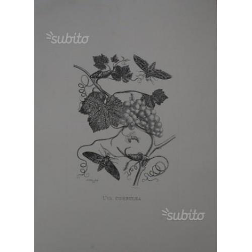 Stock stampe d'arte