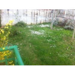 Borgo S.Lorenzo TERRATETTO GIARDINO MQ 50