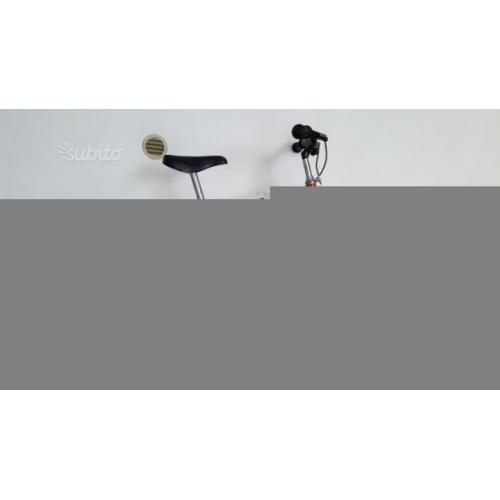 Bmx bimbo
