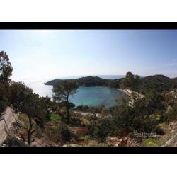 Isola d'elba Fetovaia giugno 350 a settimana