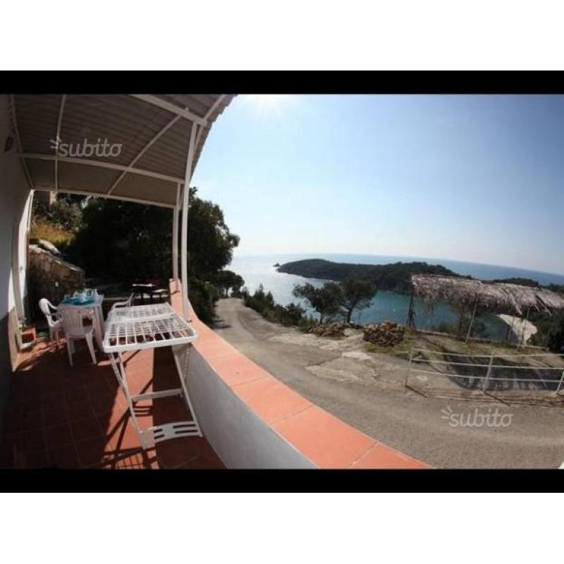Isola d'elba Fetovaia giugno 350 a settimana