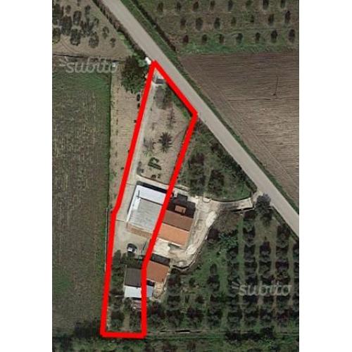 Casa singola con terreno