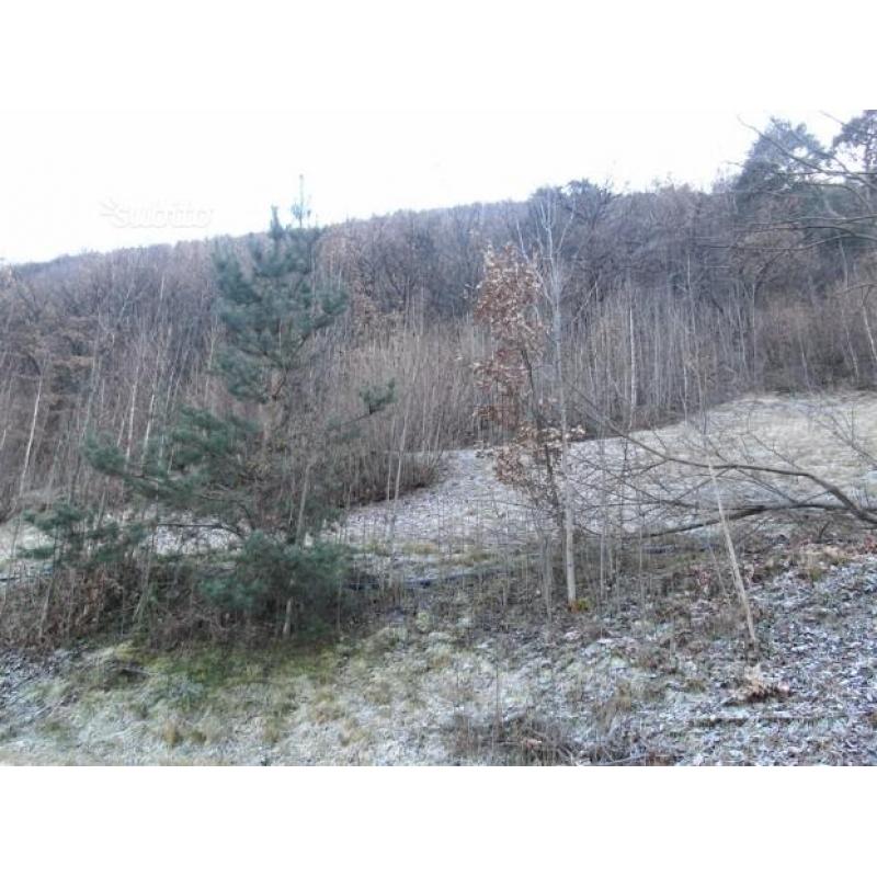 Terreno e autorimesse a Pontey