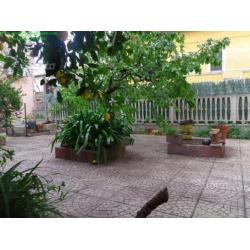 Villa a se a birori