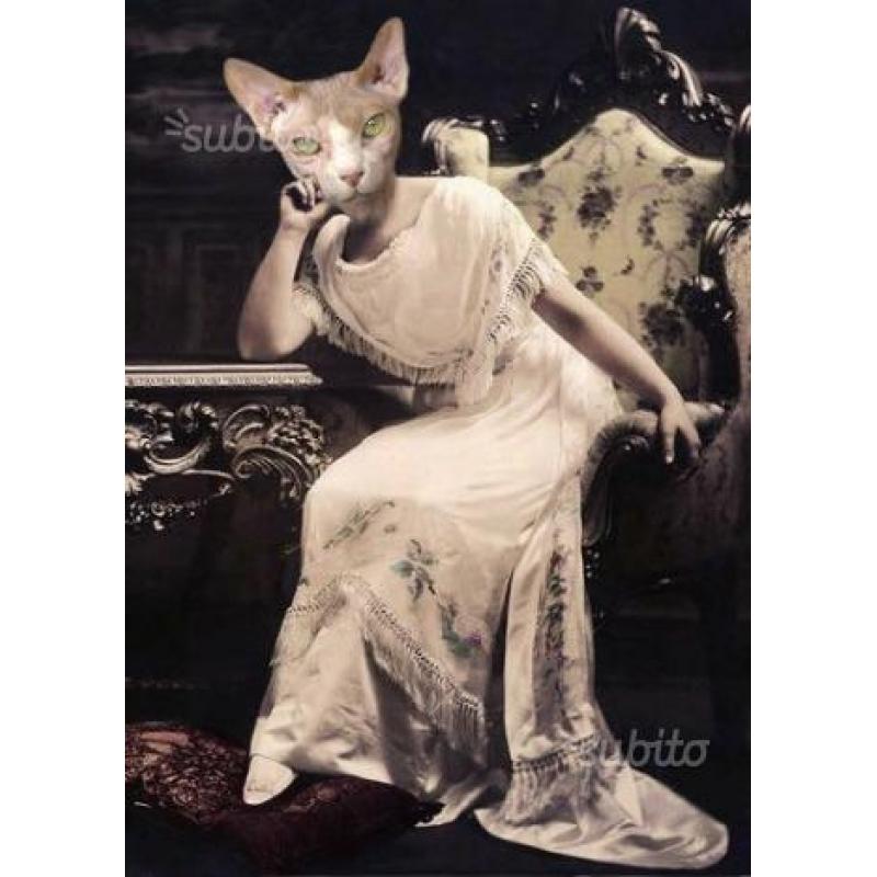 Candiani Sphynx