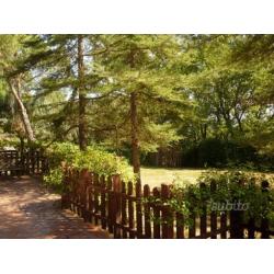 Villa indipendente a Macchia d'Isernia (Ravasecca)
