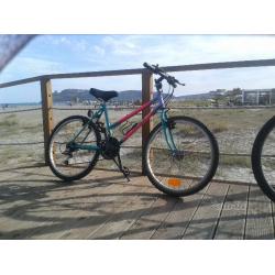 Bici viner bicicletta mountain bike 24 da ragazza