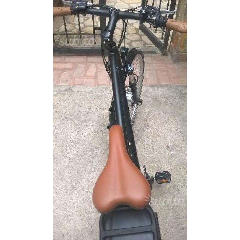 Bici elettrica