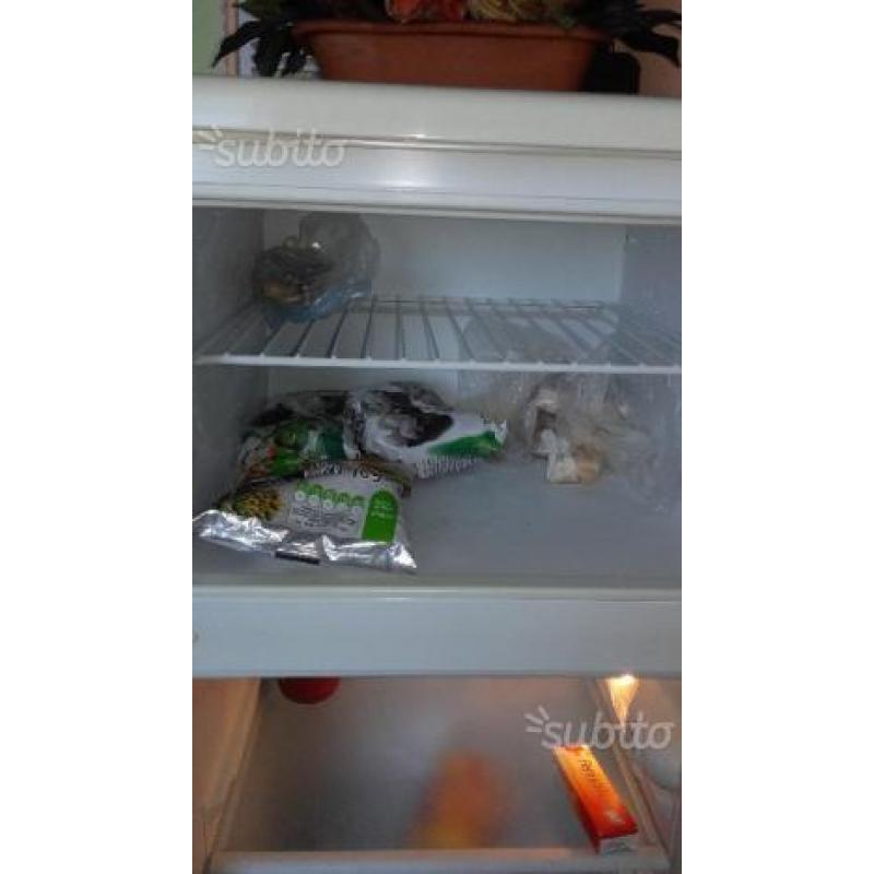 Frigorifero