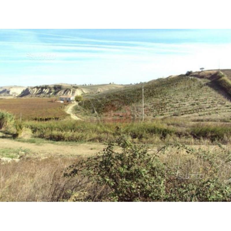 Montenero: Vigneto di 11,50 ettari con Casolare