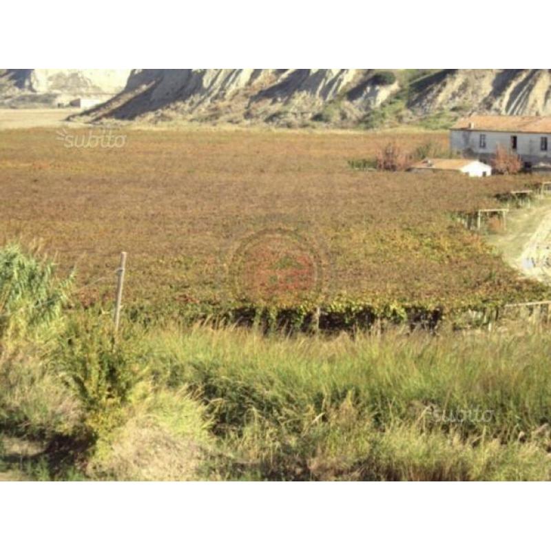 Montenero: Vigneto di 11,50 ettari con Casolare