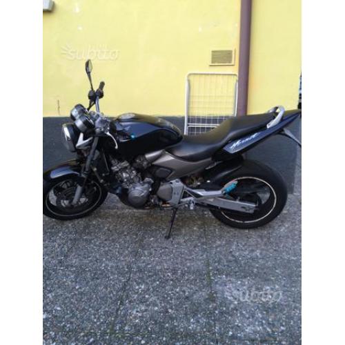 Honda hornet
