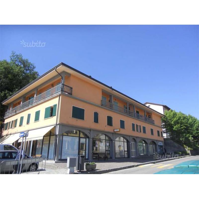 2 CAMERE - CARPINETI