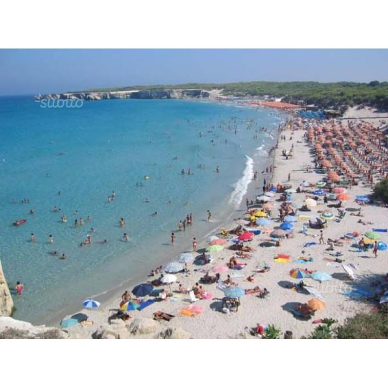 Dal 30/07 al 06/08 al centro torre dell'orso