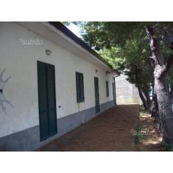 Economico bilocale a 20 mt spiaggia