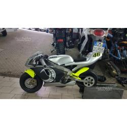 MiniMoto Polini