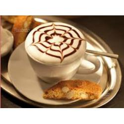 Barman-barista esperto