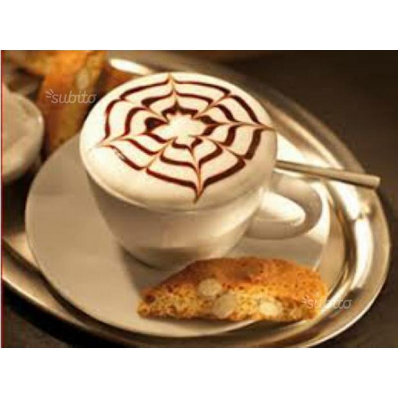 Barman-barista esperto