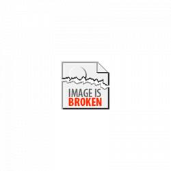 Mondragone