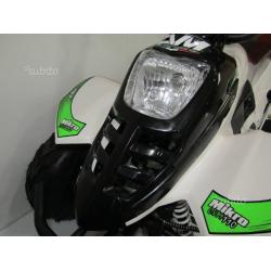 Atv, quad mikro 110cc apollo italy - 2018