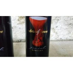 Vino del Vesuvio Originale