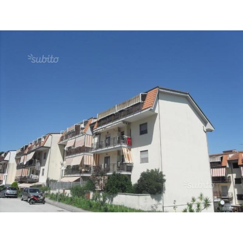 C.da belvedere