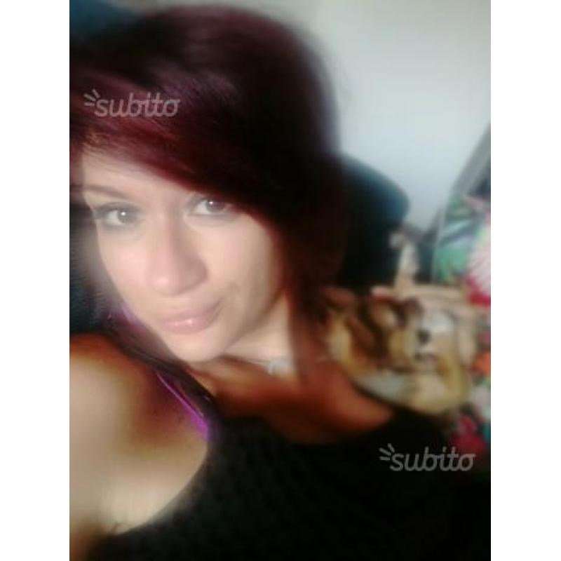 Pulizie