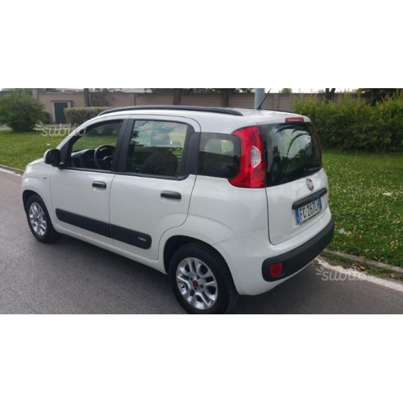 FIAT PANDA 1.2 BENZINA S&S LOUNGE Euro 6B 2016