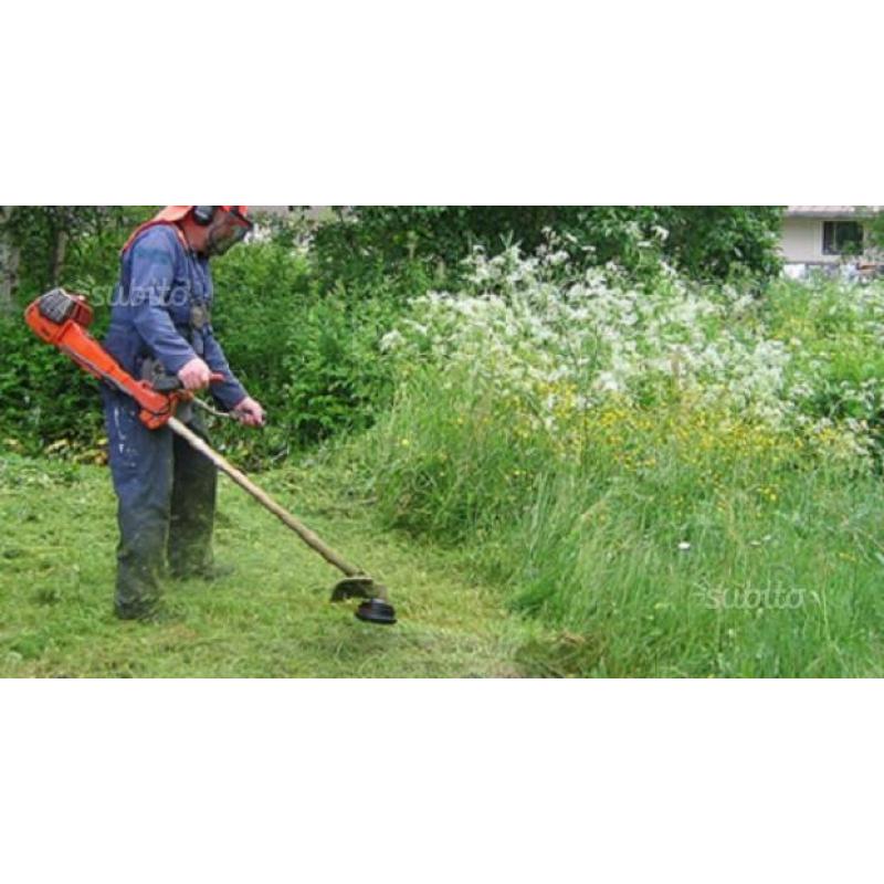 Giardinaggio e pulizia a partire da euro 30