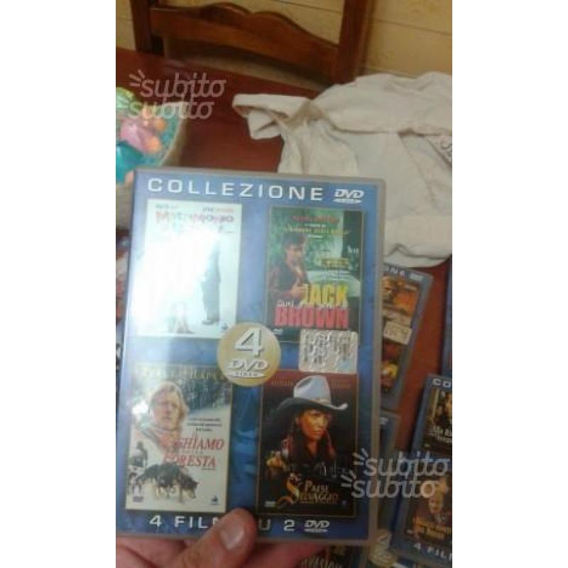 Dvd collezione film