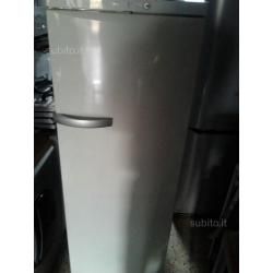 Congelatore verticale miele