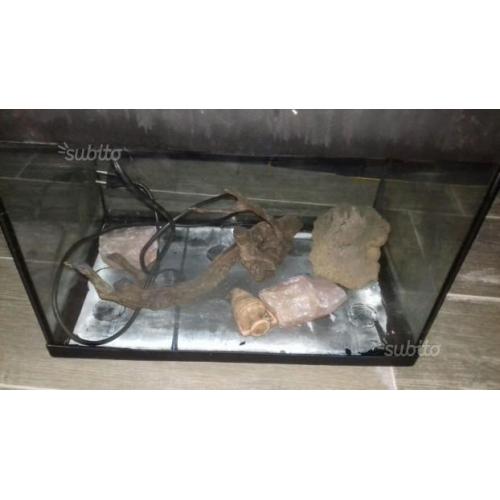 Acquario completo