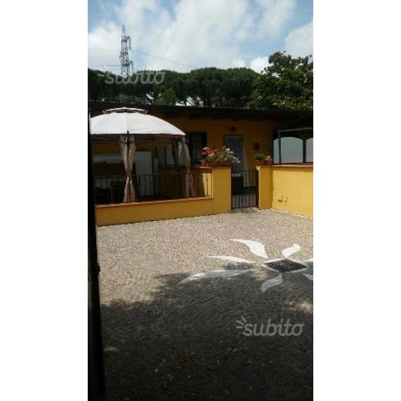 Semi indipendente
