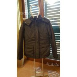 Piumino nuovo levis