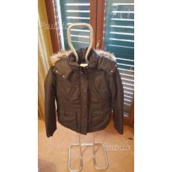 Piumino nuovo levis